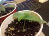 IMG_20130104_172001.jpg