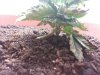 20130105_105200.jpg