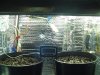 DSC02371.jpg
