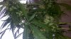 2013-01-05_09-56-11_252.jpg