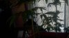 2013-01-05_09-56-42_869.jpg