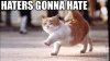 haters.jpeg