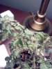 2013-01-06_23-06-16_882.jpg