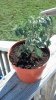 2013-01-07_12-01-10_506.jpg