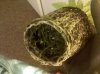 IMG_20130107_150540.jpg