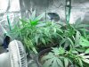 grow journal 052.jpg