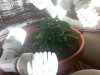 20130108_182034.jpg