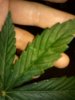 IMG_20130108_231129.jpg