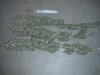 grow number one day eighty 011.jpg