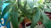 2013-01-11_12-07-14_435.jpg