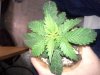 20130110_125839.jpg