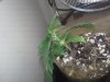 20130111_133400.jpg