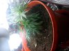 20130112_025351.jpg 20130112_025351.jpg