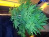 20130112_102858.jpg
