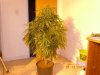 DSCN4572.jpg