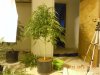 DSCN4610.jpg