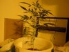 DSCN4552.jpg