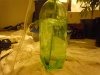 DSCN4597.jpg
