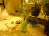 DSCN4598.jpg