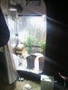 IMG_20121230_235441.jpg