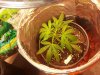 2013-01-12_14.01.04.jpg