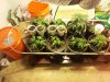 2013-01-12_14.01.59.jpg