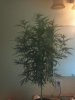 IMG_20130111_202522.jpg
