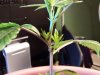 downsized_0925082135b.jpg