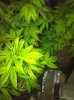 IMG_1710.jpg IMG_1710.jpg