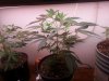 20130114_015437.jpg
