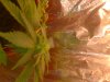 IMG-20130114-00628.jpg
