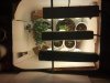 2013-01-14_09-54-43_868.jpg