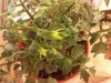 2013-01-14_09-55-37_59.jpg