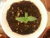 2013-01-14_09-55-03_567.jpg