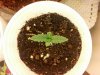 2013-01-14_09-56-57_914.jpg