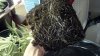 2013-01-14_16-02-48_496.jpg