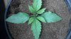 2013-01-14_19-53-12_937.jpg