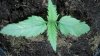 2013-01-14_19-26-05_617.jpg