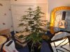 2013-01-10 21.47.25.jpg