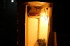 IMG_4007.jpg IMG_4007.jpg