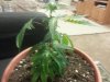 20130115_173715.jpg