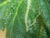 20130115_164951.jpg