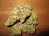 blue cheese 010.jpg