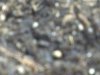 close up dAY2.jpg