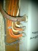 IMG-20130117-00282.jpg