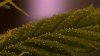 2013-01-17_21-55-28_835.jpg
