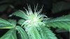2013-01-17_22-28-54_756.jpg