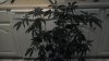 2013-01-17_22-34-37_333.jpg