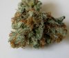bubba kush 2.jpg