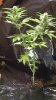 gdpxltc99-3-023.jpg
